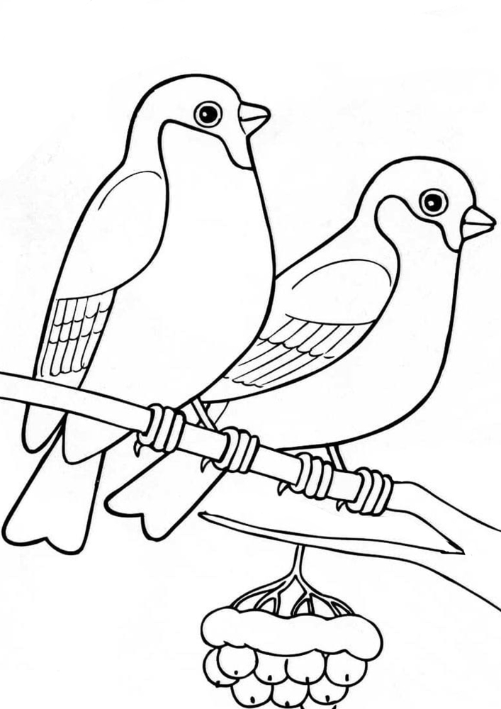 Two birds on a twig